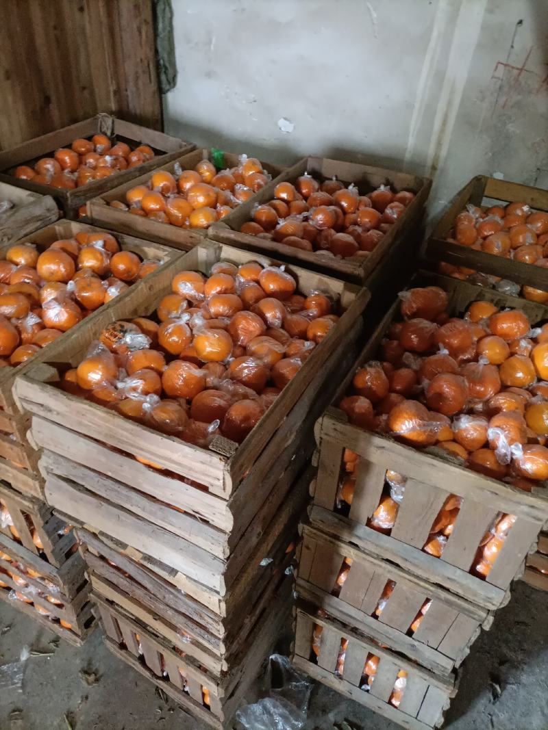 质量好，口感好，硬度好，价格便宜，服务好