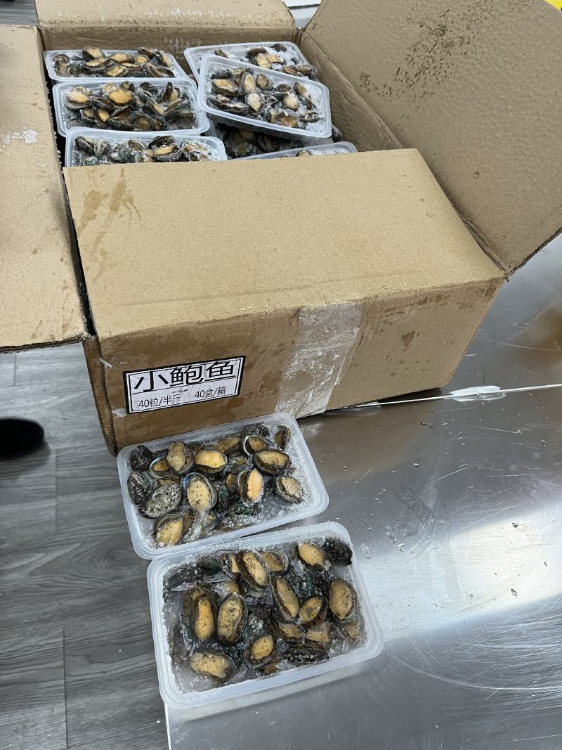 鲍鱼【海头厂家】小鲍鱼鲍鱼肉冻鲍鱼