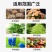 复合肥17-17-17和20-20-20蔬菜有机肥氮