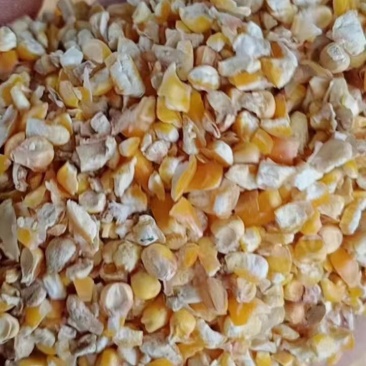 碎玉米碎小米豆粕等大量现货欢迎大家来考察无土无沙