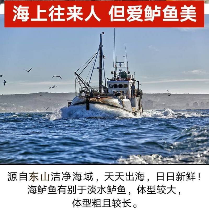 鲈鱼冻鲈鱼一条一斤和一斤以上都有