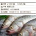鲈鱼冻鲈鱼一条一斤和一斤以上都有