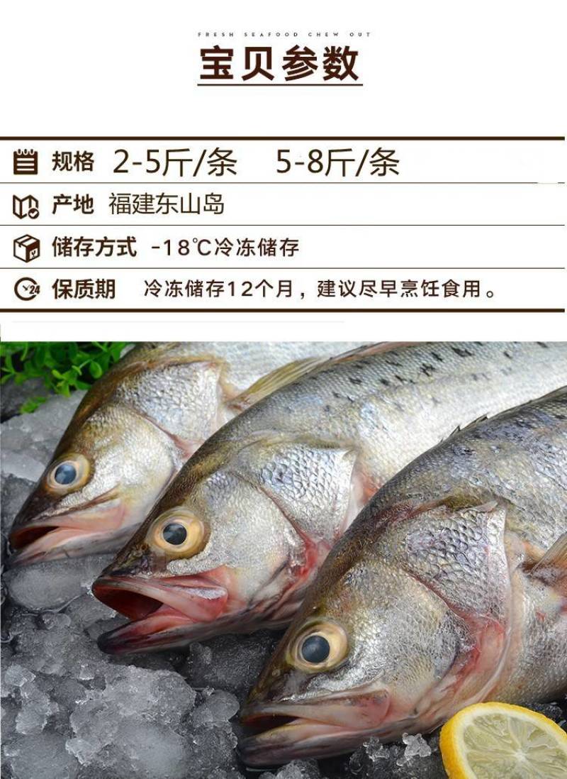 鲈鱼冻鲈鱼一条一斤和一斤以上都有