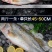 鲈鱼冻鲈鱼一条一斤和一斤以上都有