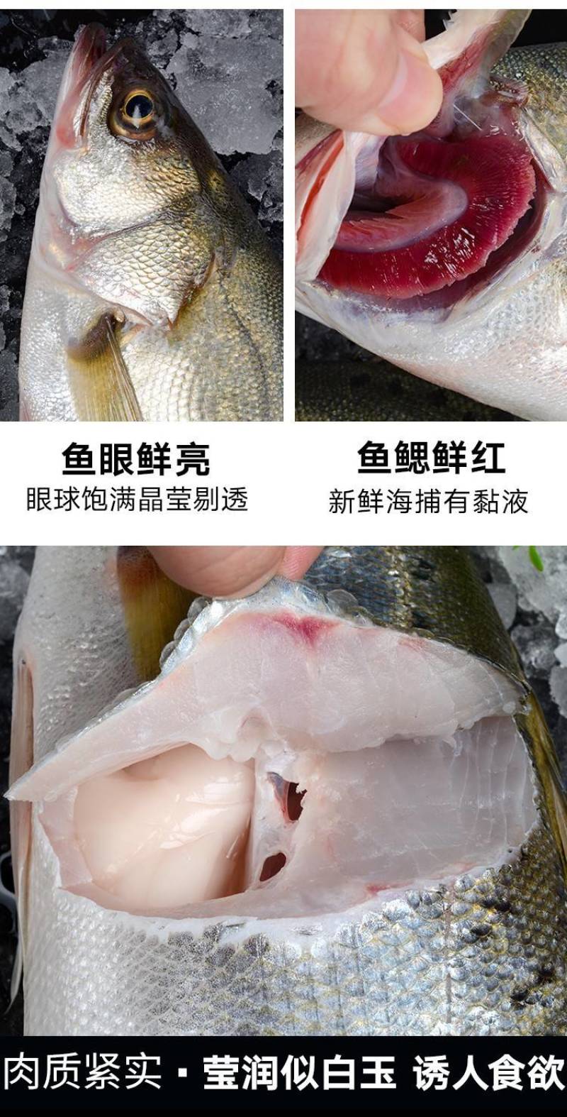 鲈鱼冻鲈鱼一条一斤和一斤以上都有