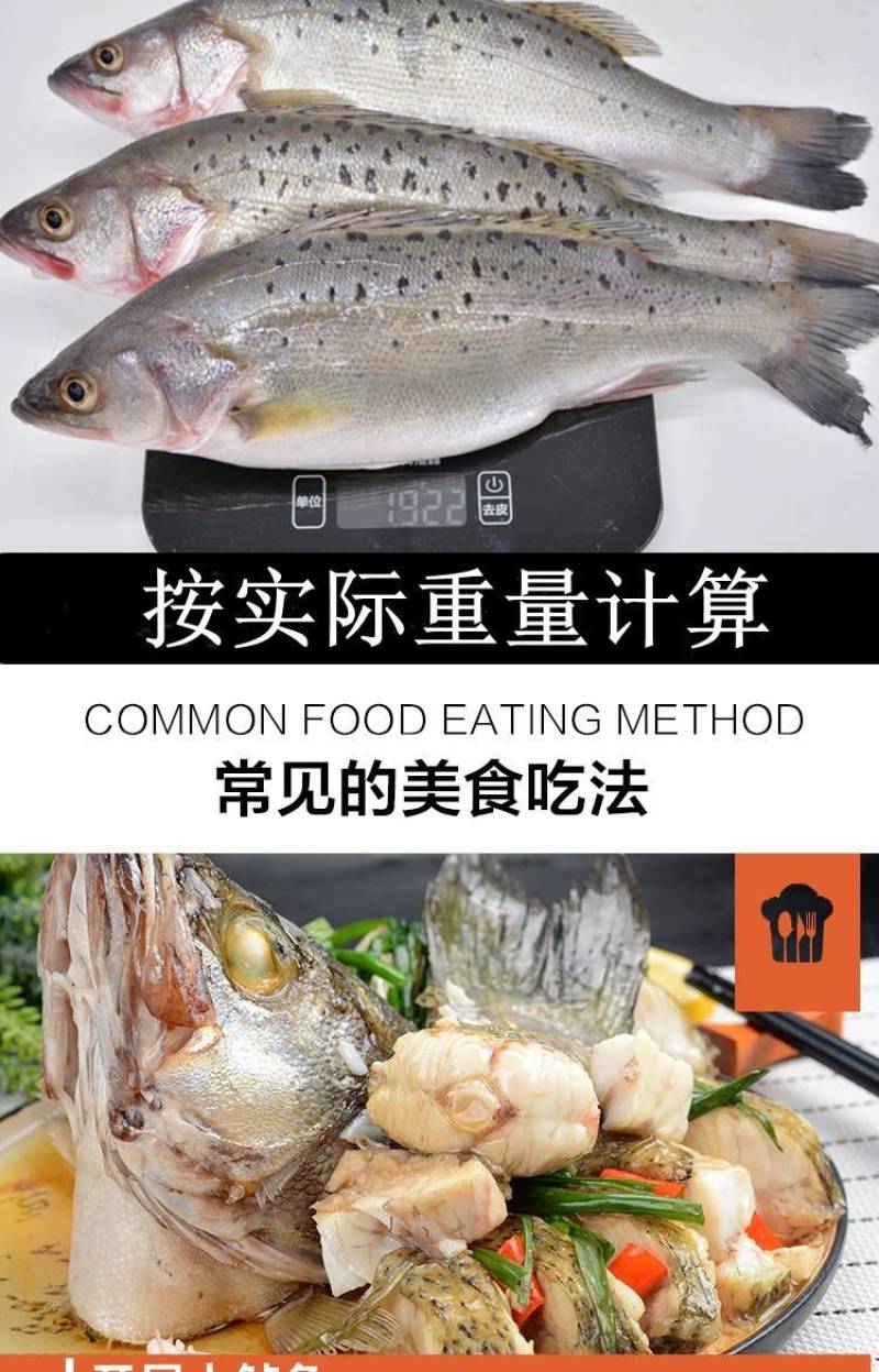 鲈鱼冻鲈鱼一条一斤和一斤以上都有