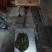 精选外塘甲鱼，2-3斤母水鱼(包活，肉质鲜美)，长期供应