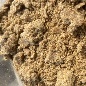 饲料级别桃酥肉渣饼脂肪含量高适口性好