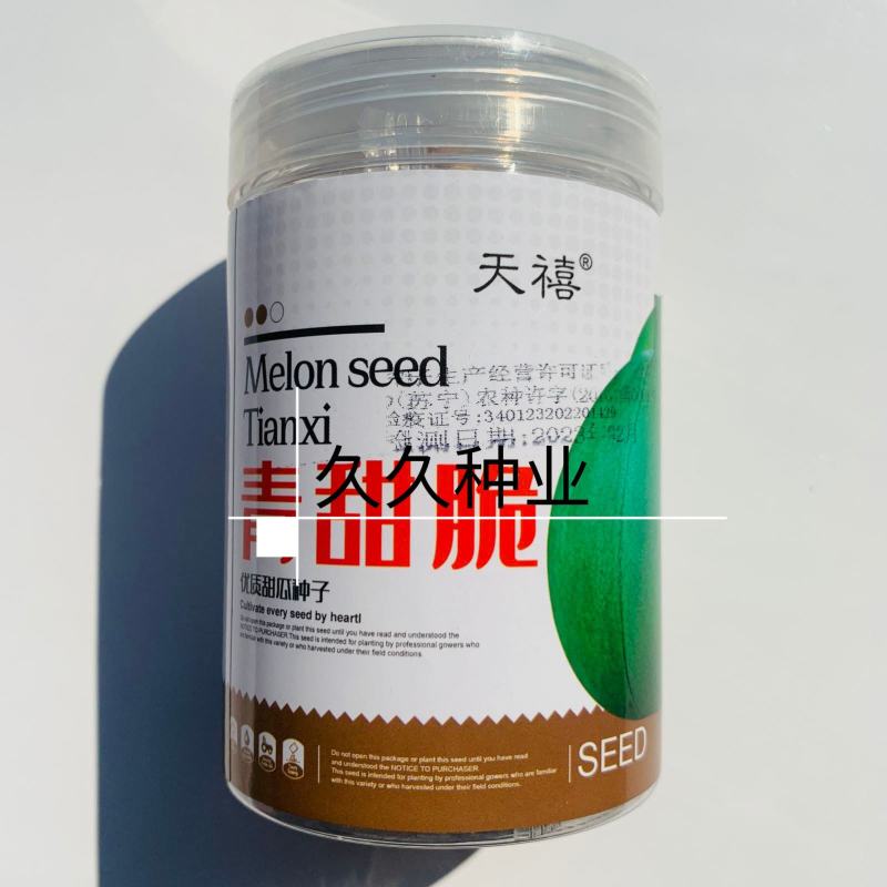 青甜脆甜瓜种子早熟肉质青脆多汁口感好抗病性强耐贮运春秋播