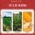 玉米糁玉米碴电商团购社区平台支持一件代发全国发货批量优惠