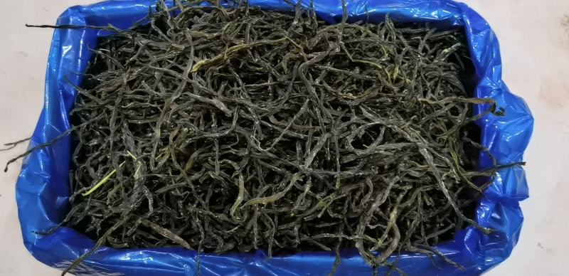 架豆王