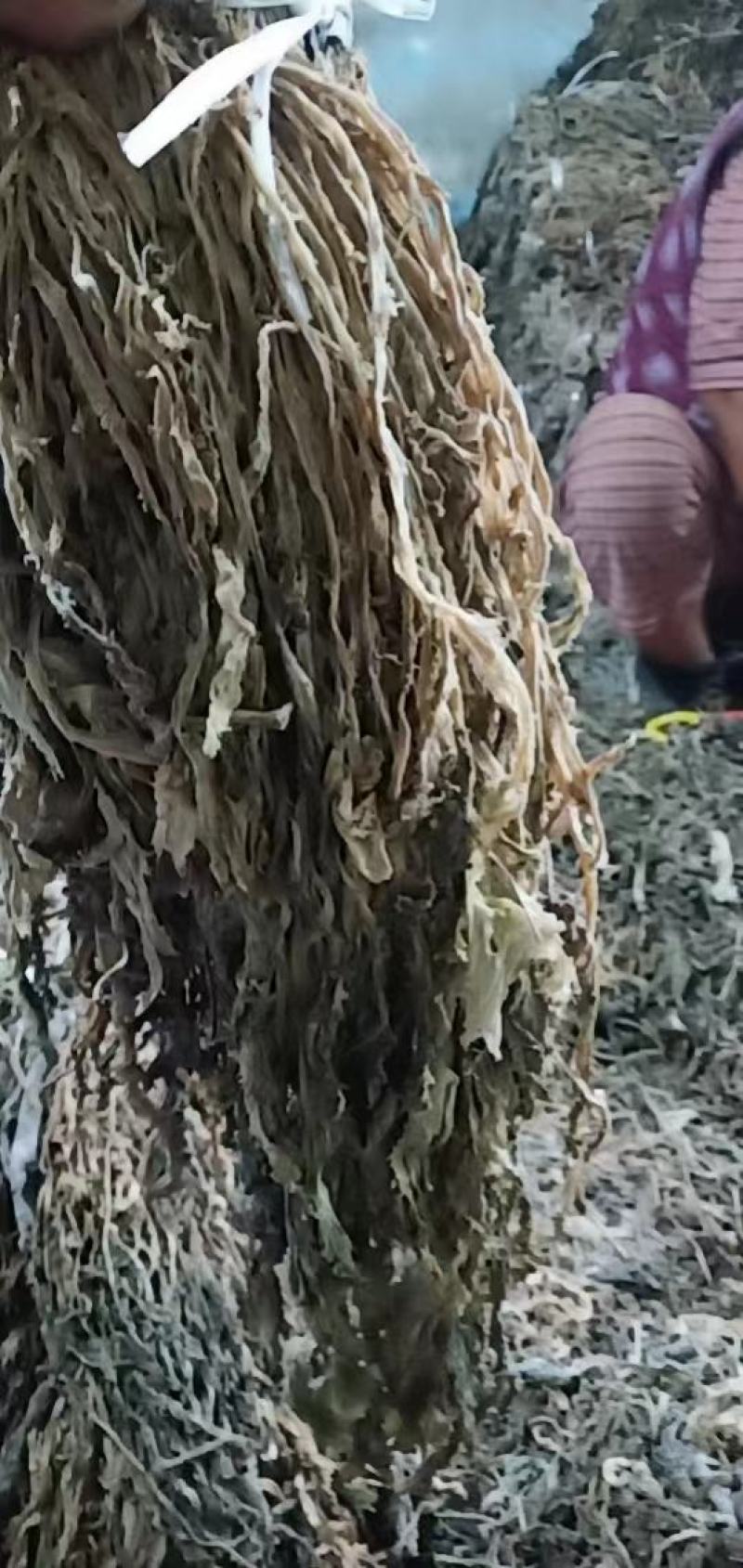 精品梅干菜