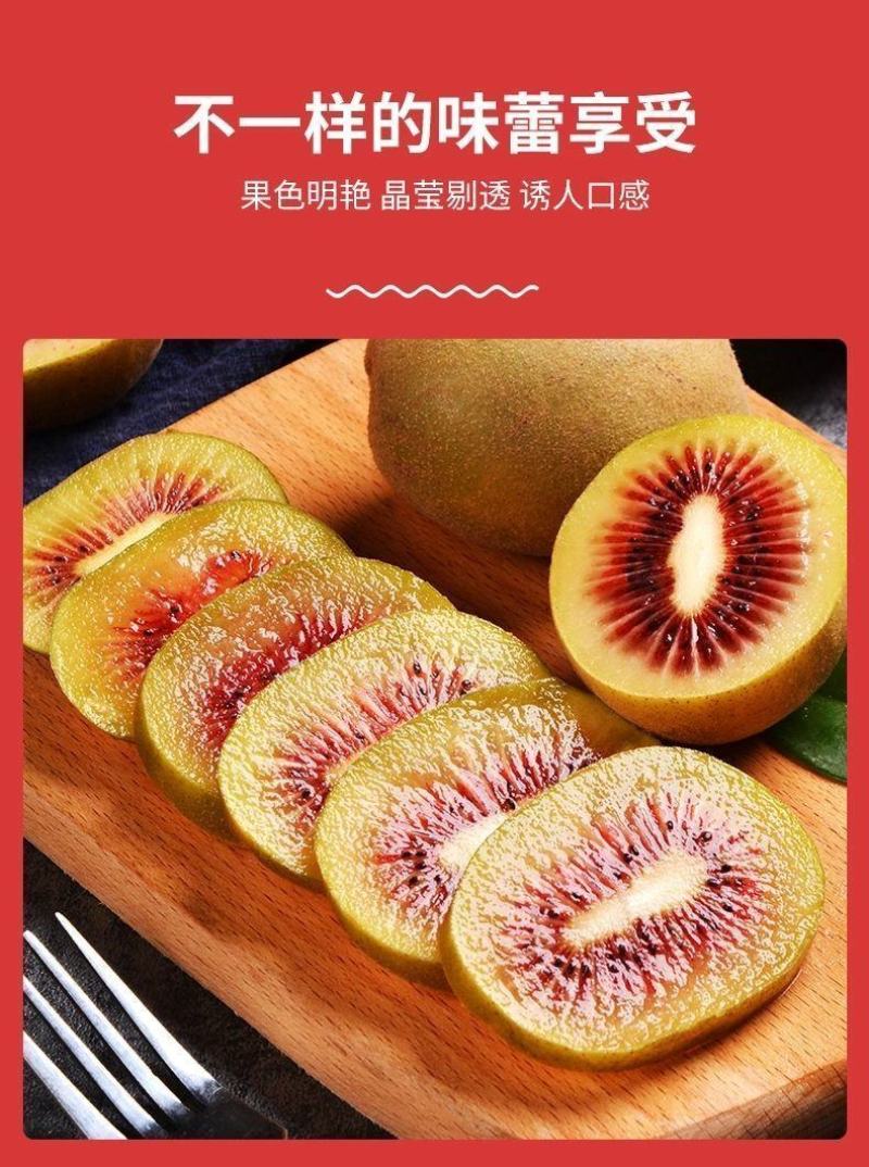 四川蒲江红心猕猴桃奇异果新鲜水果产地供应一件代发