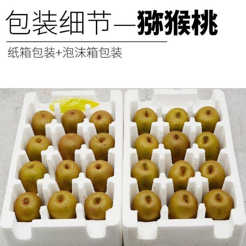 四川蒲江红心猕猴桃奇异果新鲜水果产地供应一件代发