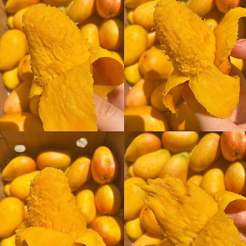 正宗小台农芒果批发5/水果生鲜应季大芒果产地供应批发