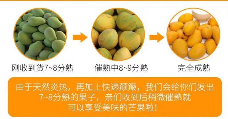 【超划算】海南小台农芒果新鲜现摘小台鸡蛋芒应当季热带水果