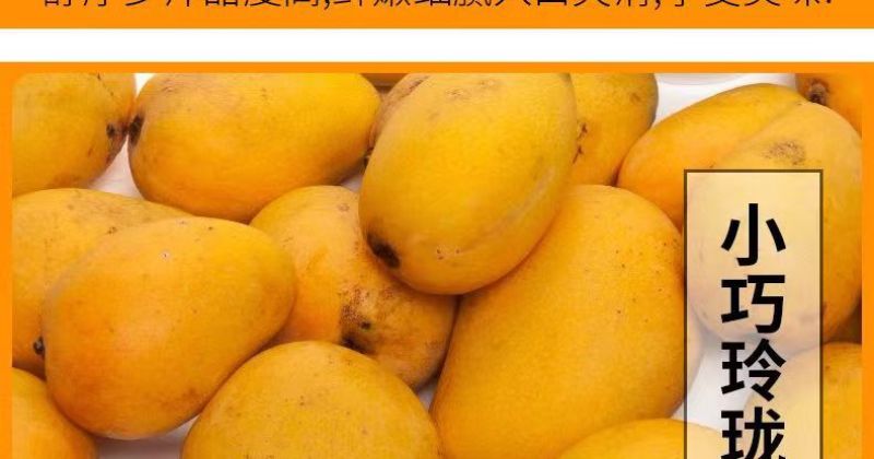 【超划算】海南小台农芒果新鲜现摘小台鸡蛋芒应当季热带水果
