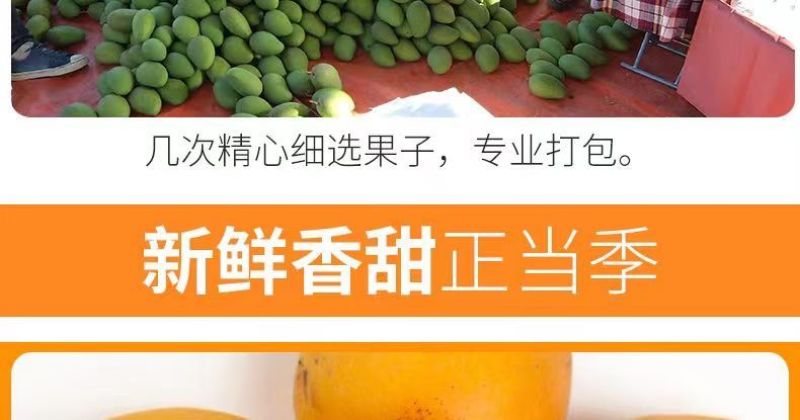 【超划算】海南小台农芒果新鲜现摘小台鸡蛋芒应当季热带水果