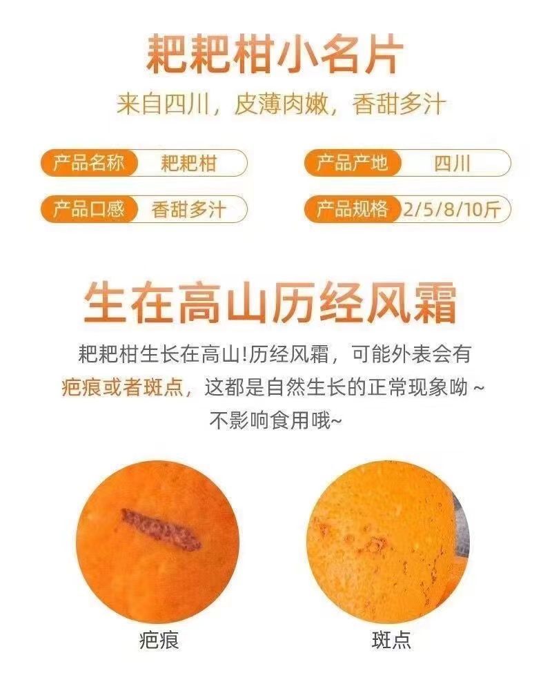 【大降价】四川眉山春见耙耙柑特级耙耙柑碰柑新鲜水果