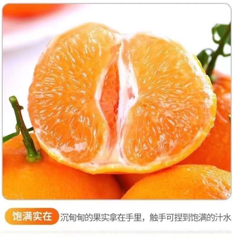 【大降价】四川眉山春见耙耙柑特级耙耙柑碰柑新鲜水果