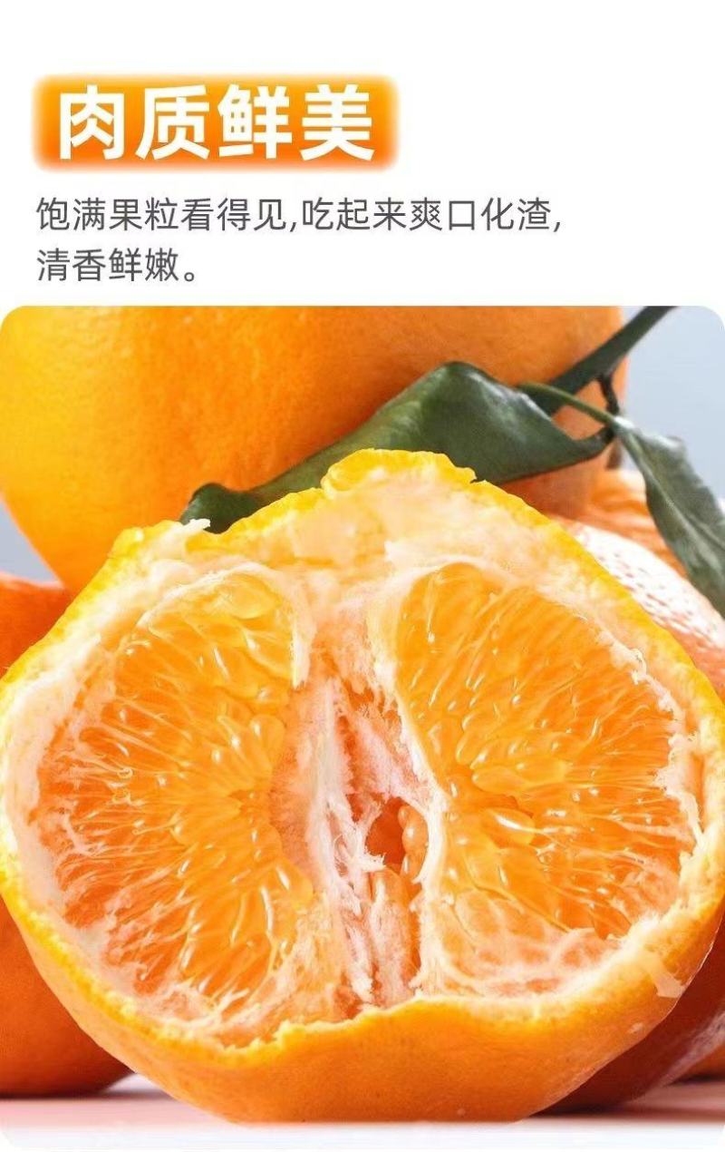 正宗四川春见耙耙柑薄皮新鲜产地供应批发欢迎订购