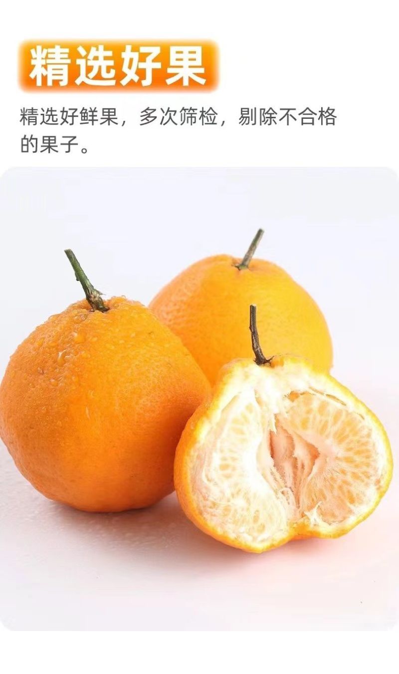 正宗四川春见耙耙柑薄皮新鲜产地供应批发欢迎订购