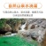 正宗四川春见耙耙柑薄皮新鲜产地供应批发欢迎订购