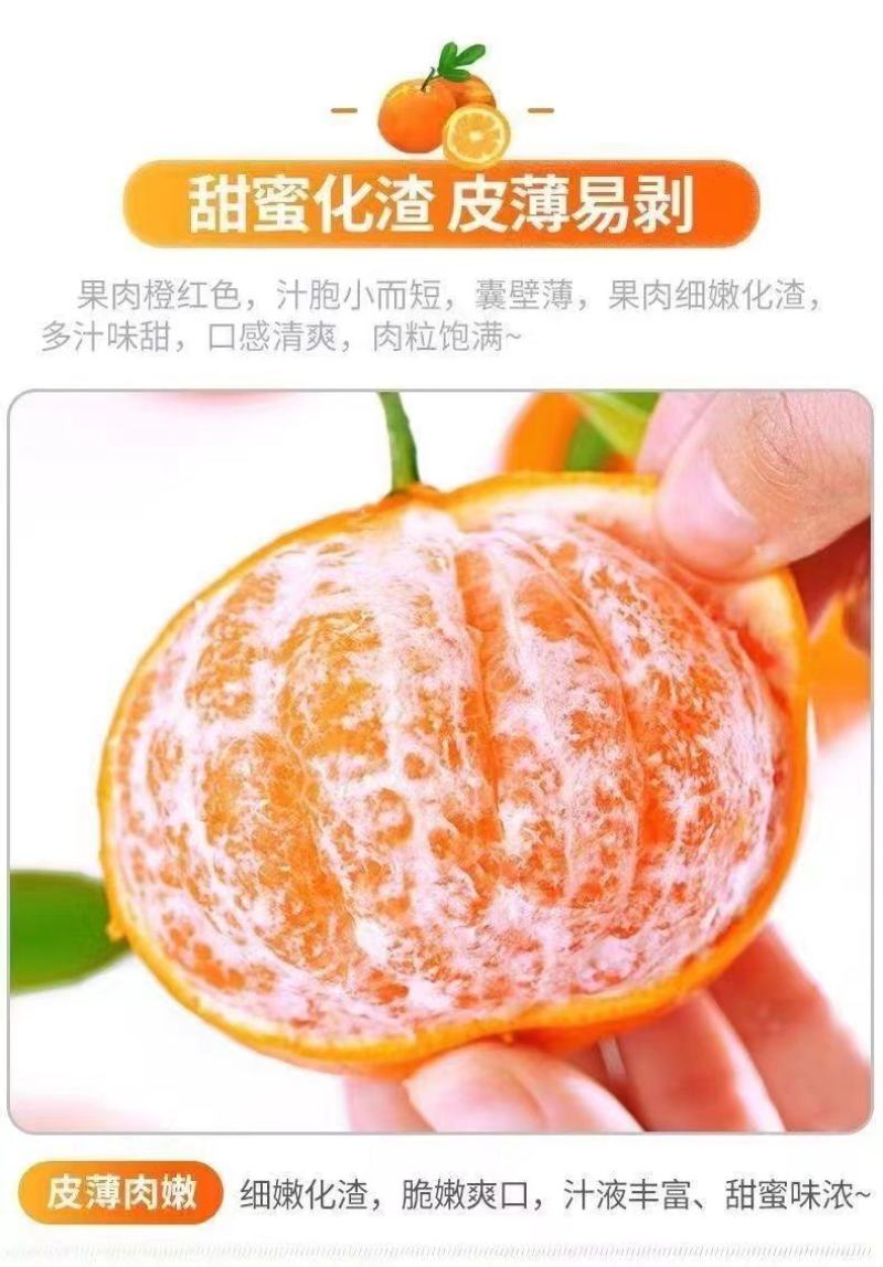 正宗四川春见耙耙柑薄皮新鲜产地供应批发欢迎订购
