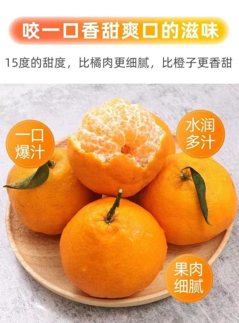 正宗四川春见耙耙柑薄皮新鲜产地供应批发欢迎订购