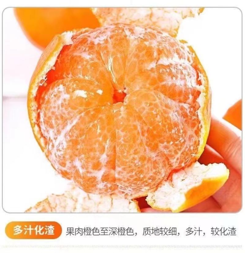正宗四川春见耙耙柑薄皮新鲜产地供应批发欢迎订购