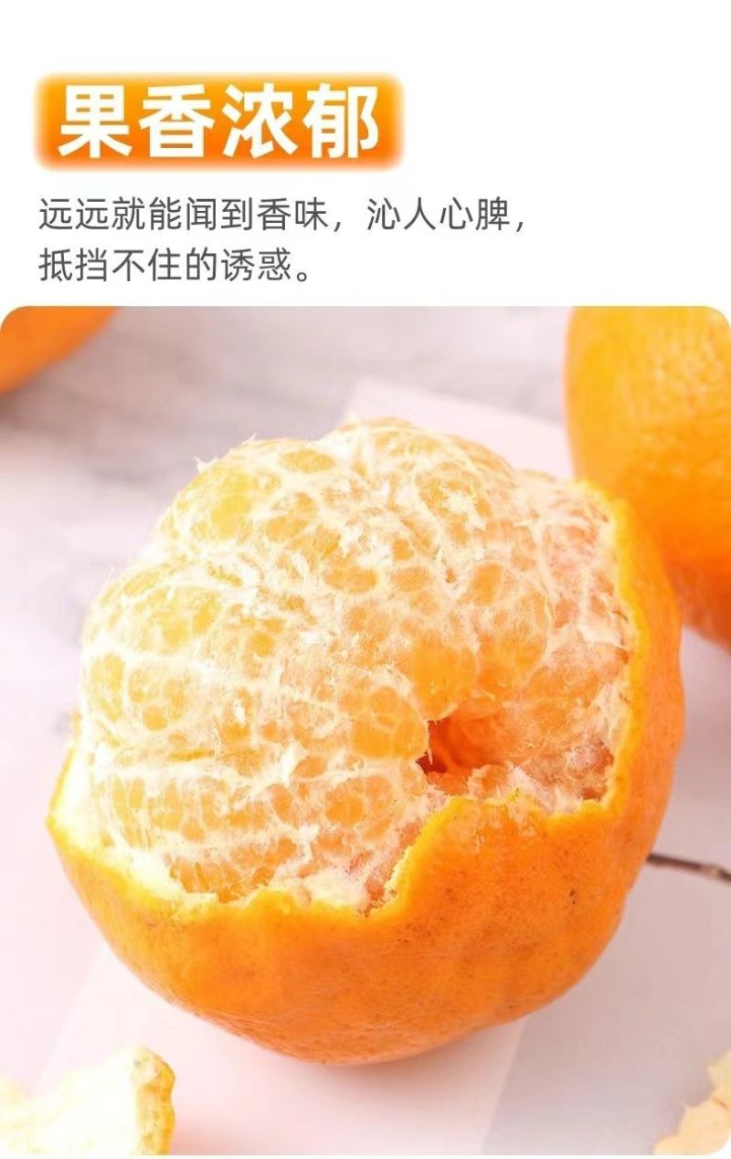 正宗四川春见耙耙柑薄皮新鲜产地供应批发欢迎订购