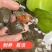 《精选》甲鱼苗规格齐全外塘苗场地直发包成活欢迎采购