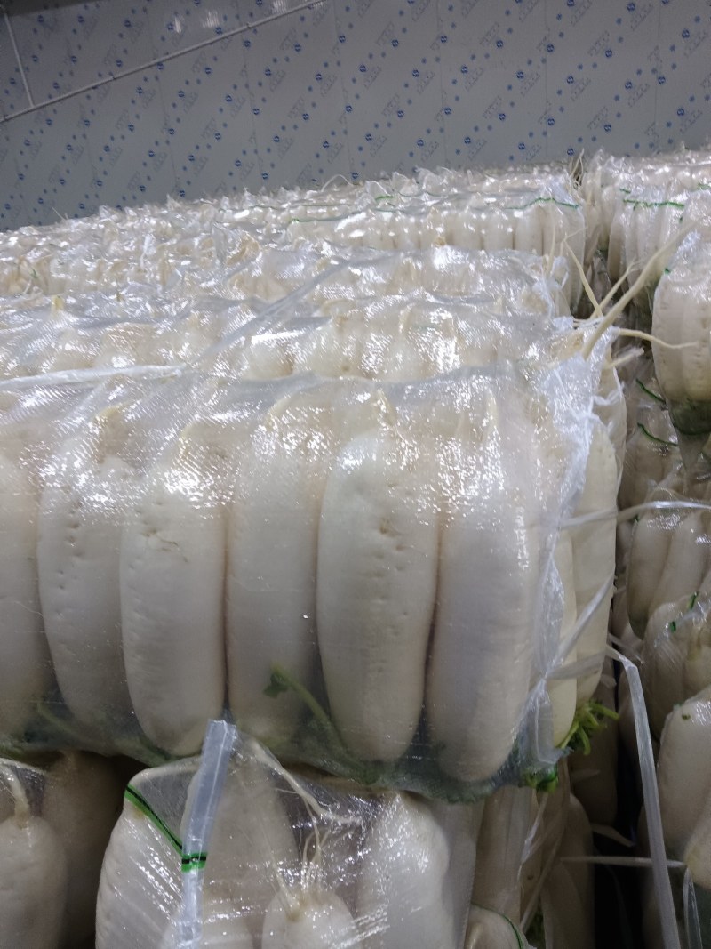 萝卜上市，产地直销，量大从优，价格随行就市，可视频看货，