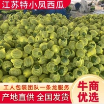 【抢购】江苏宿迁沭阳西瓜特小凤西瓜大量有货糖分高价格优惠