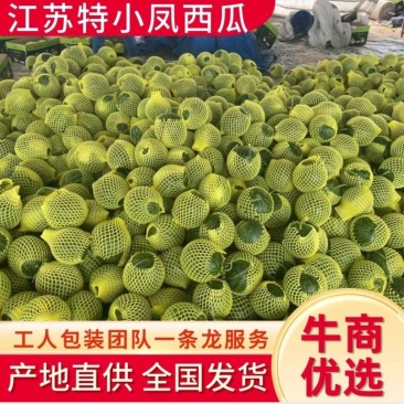 【抢购】江苏宿迁沭阳西瓜特小凤西瓜大量有货糖分高价格优惠