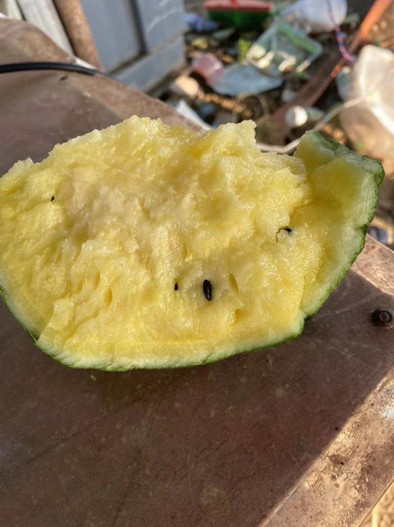 江苏黄心特小凤-精品黄壤西瓜-大量上市--全国发货