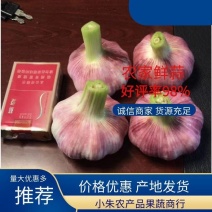 【热卖中】精品鲜蒜头，把子蒜扒皮蒜产地直供电商商超