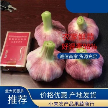 【热卖中】精品鲜蒜头,把子蒜扒皮蒜产地直供电商商超