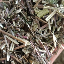 荊芥，中药材批发，货源充足，过筛欢迎各位老板下单