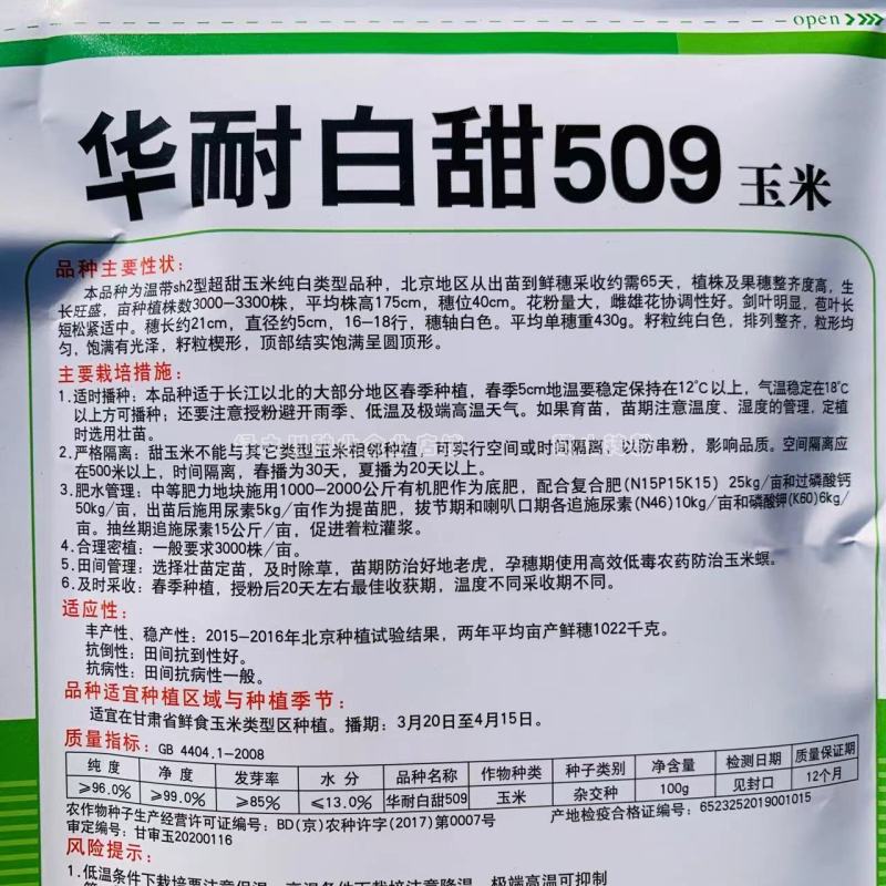 华耐白甜509纯白甜玉米种子超甜水果玉米种子口感特好