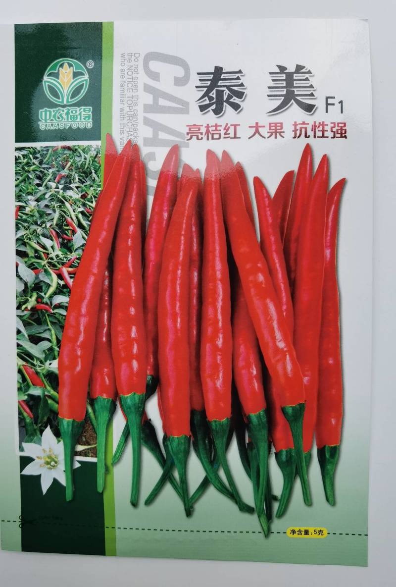 泰美朝天椒种子单生泰国大果高产香辣高辣泡椒小米辣椒种子