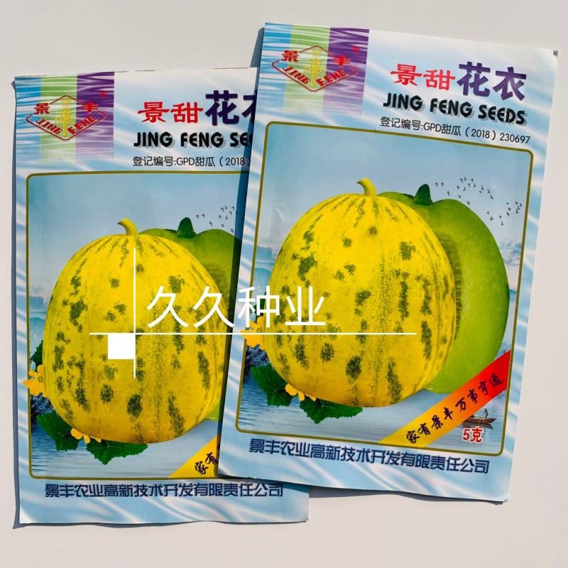 景甜花衣甜瓜种子早熟特甜花皮甜瓜种子抗病强高产糖度高甜瓜