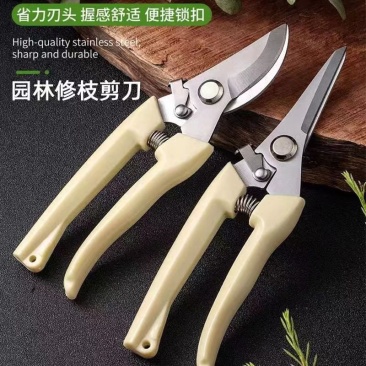 2把剪枝果树修枝剪刀园艺园林修花枝剪家用强力剪子神器花剪