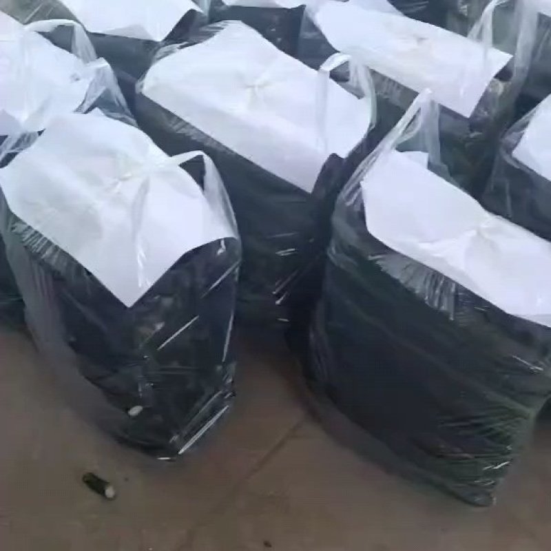 夏邑县密刺油亮绿瓤产地大量发货，干花带刺全国发货