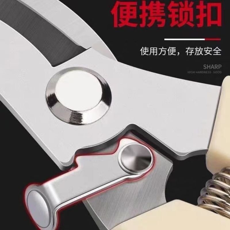 2把剪枝果树修枝剪刀园艺园林修花枝剪家用强力剪子神器花剪