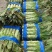 湖北荆门莴笋大量上市供应产地直发一手货源批发品质保证！