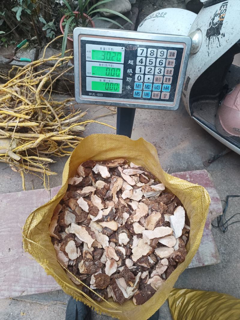 土茯苓，粉质土茯苓，白肉甘甜土茯苓干货