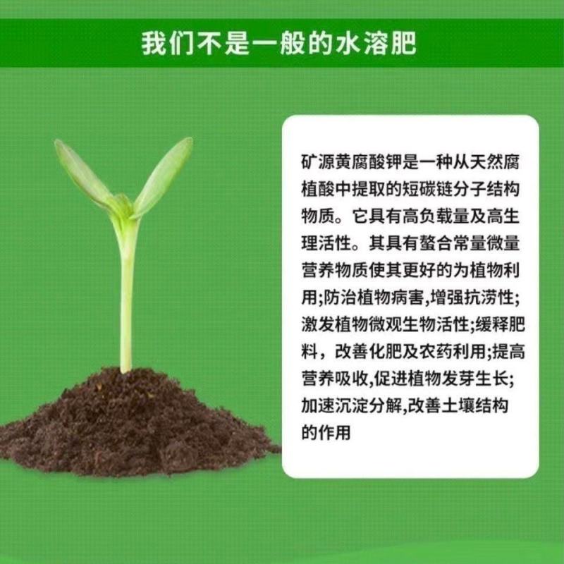 矿源黄腐酸钾原粉腐植酸叶面肥有机肥生根壮苗水溶肥料