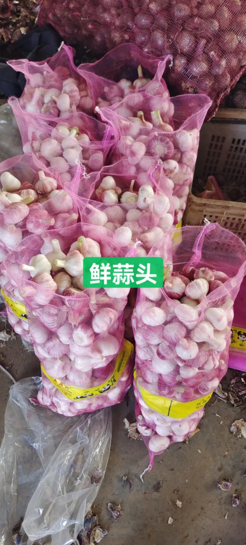 大蒜扒皮蒜鲜蒜头紫皮蒜红蒜干蒜头常年供应