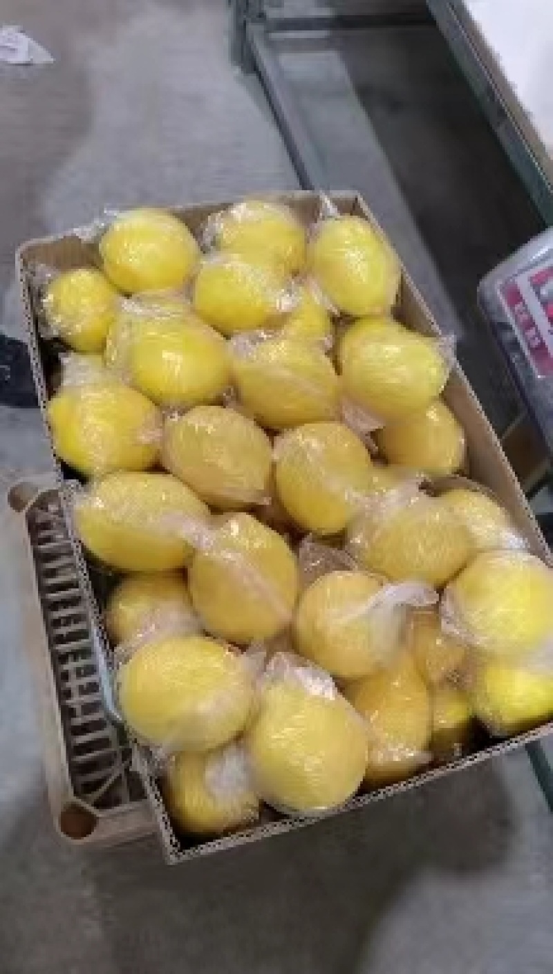 安岳柠檬，基地直销，量大从优，欢迎来电咨询